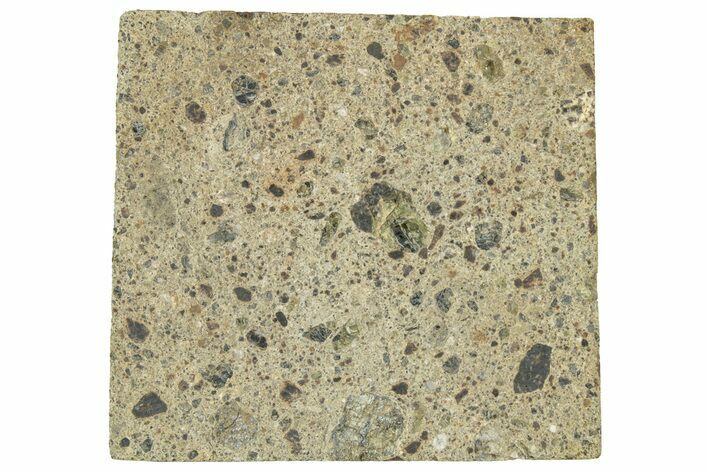 Diogenite Meteorite ( g) Slice - From Vesta Micro-Planet! #313317